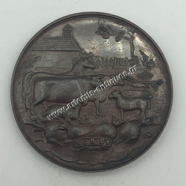 CHAMPIONSHIP MEDAL SOUTHAMPTON PRESENTED BY TOOGOOD & SONS THE KINGS SEEDSMEN