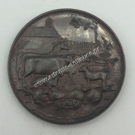 CHAMPIONSHIP MEDAL SOUTHAMPTON PRESENTED BY TOOGOOD & SONS THE KINGS SEEDSMEN