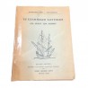 The Greek Navy through the centuries