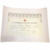 Hellenic Red Cross Award of Diploma, Cross of National Struggle and Silver or Gold Star 1951