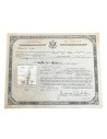 Certification of Citizenship 1939 U.S.A