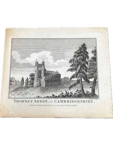 Thorney Abbey in Cambridgeshire Copperplate Engraving 1800s