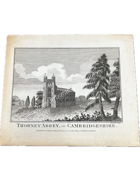 Thorney Abbey in Cambridgeshire Copperplate Engraving 1800s