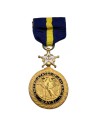 Μετάλλιο Διακεκριμένης Υπηρεσίας Ναυτικού Η.Π.Α