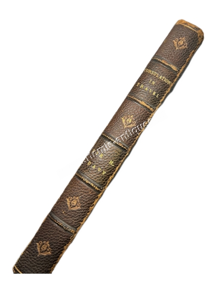 Consolations in Travel or the Last Days of a Philosopher 1831