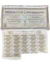 One Share Title 100 Drachmai 1908 Commercial Bank of Greece