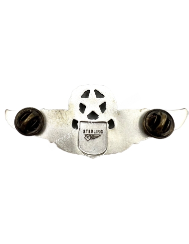 Pilot's Wings U.S.A