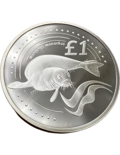 1 Pound 2005 Mediterranean Monk Seal Silver Proof Cyprus