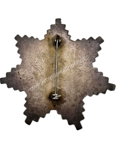 Knight Templar Preceptor Breast Star 2