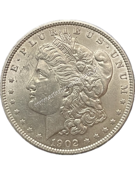 1 Dollar 1902 Morgan AU-UNC