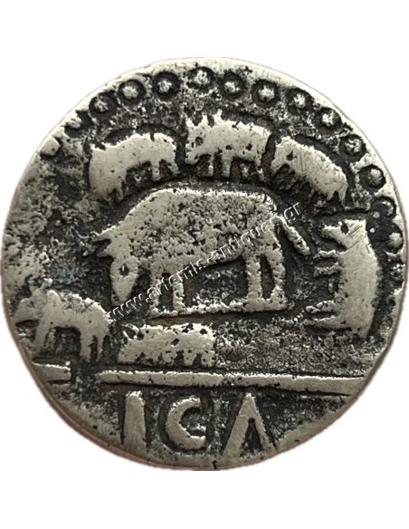 The Sow and her Piglets Token