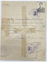 Greek High Commission in Constantinople 1920 Passage Permit