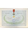 Air Force Medal Award