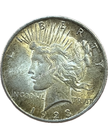 1 Dollar 1923 Peace Dollar