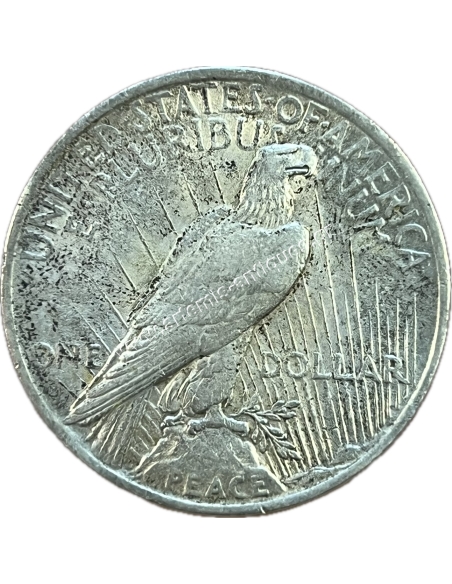 1 Dollar 1923 Peace Dollar