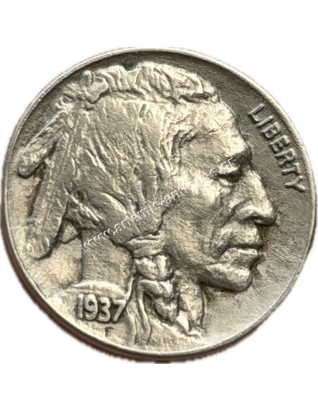 5 Cents 1937 Buffalo Nickel AU+