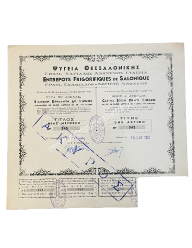 Ψυγεία Θεσσαλονίκης Τίτλος 1 Μετοχής 1955