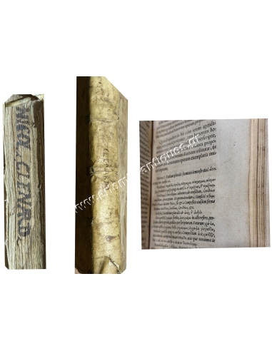 Institutiones absolutissimae in Graecam linguam, Cleynaerts Nicolas 1552