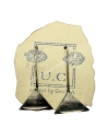 Egyptian Coin Silver Earrings