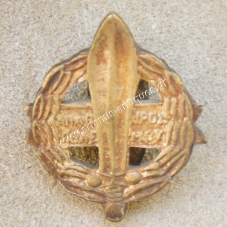 Disabled War Greek Pin