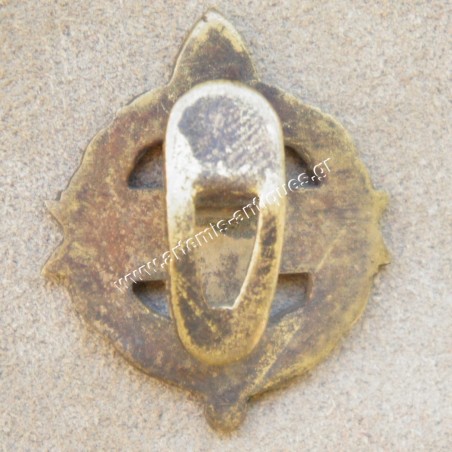 Disabled War Greek Pin
